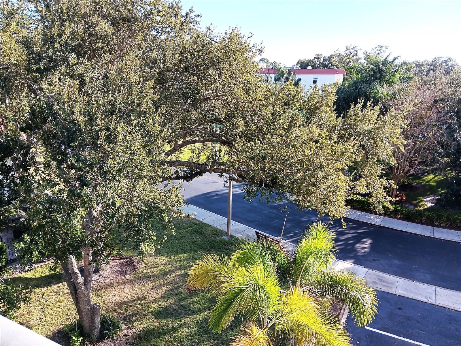 MEDITERRANEAN MANORS - Residential Lease