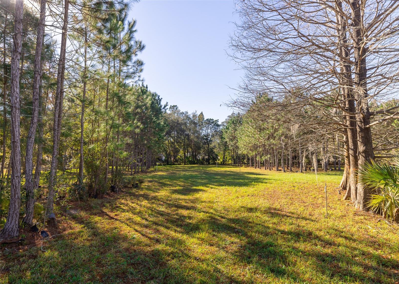 VANDERVORT ESTATES - Land