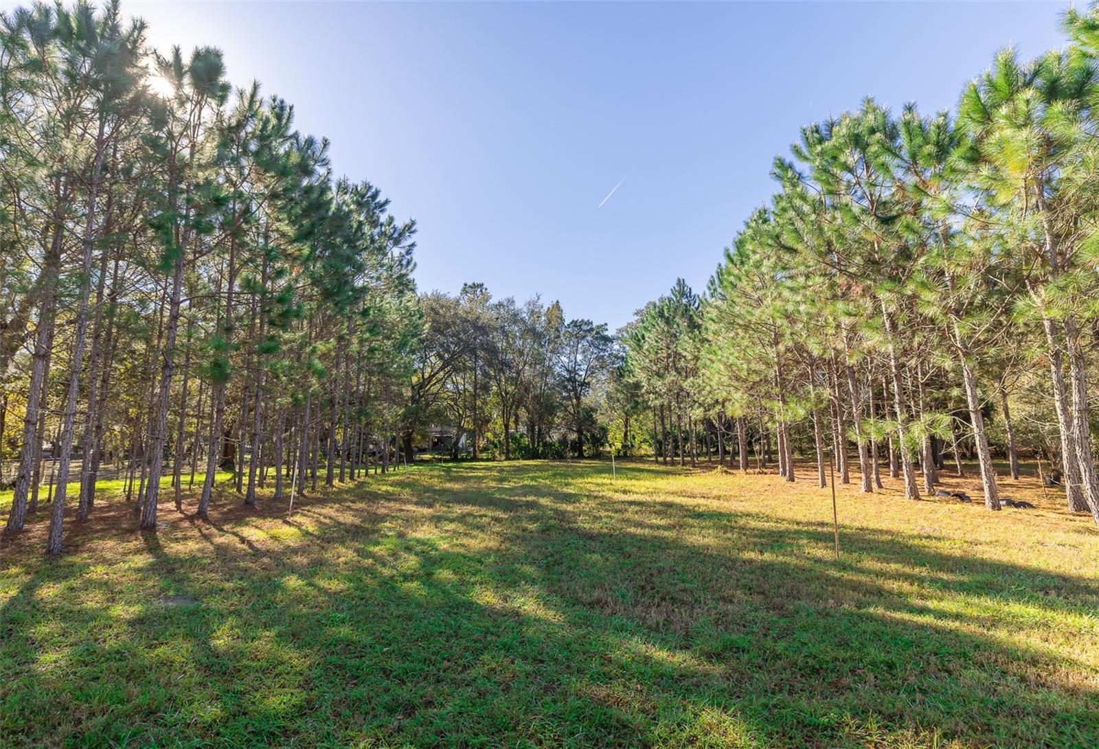 VANDERVORT ESTATES - Land