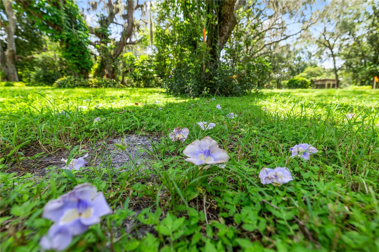 VANDERVORT ESTATES - Land