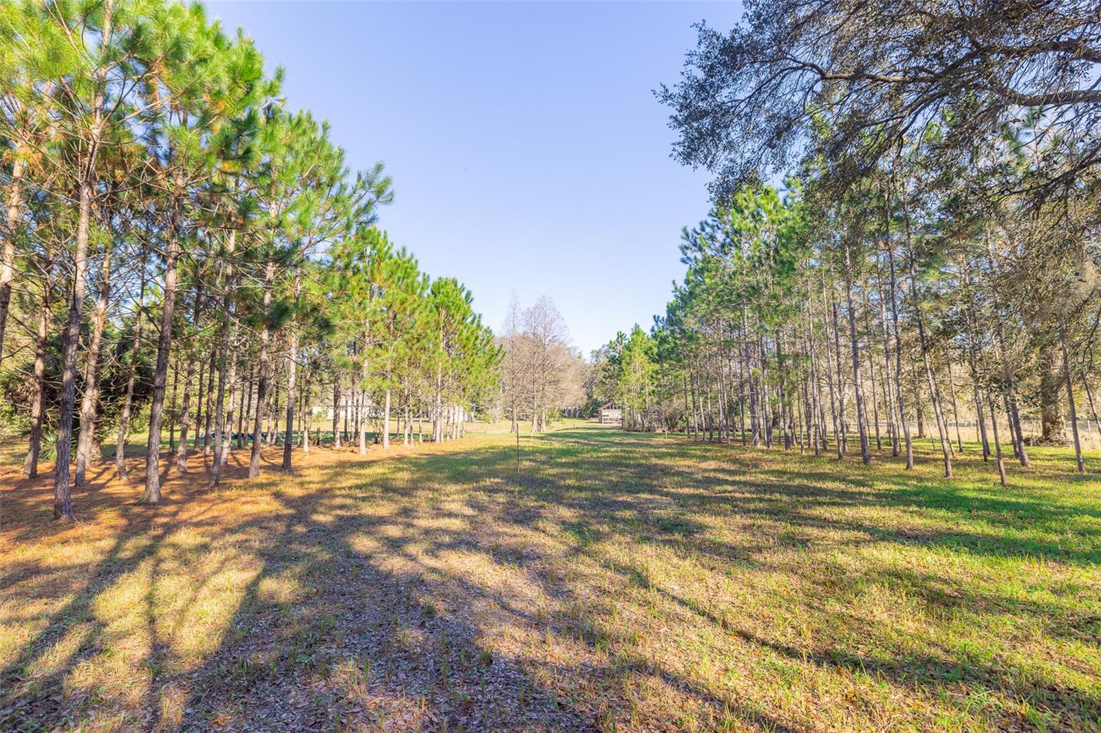 VANDERVORT ESTATES - Land