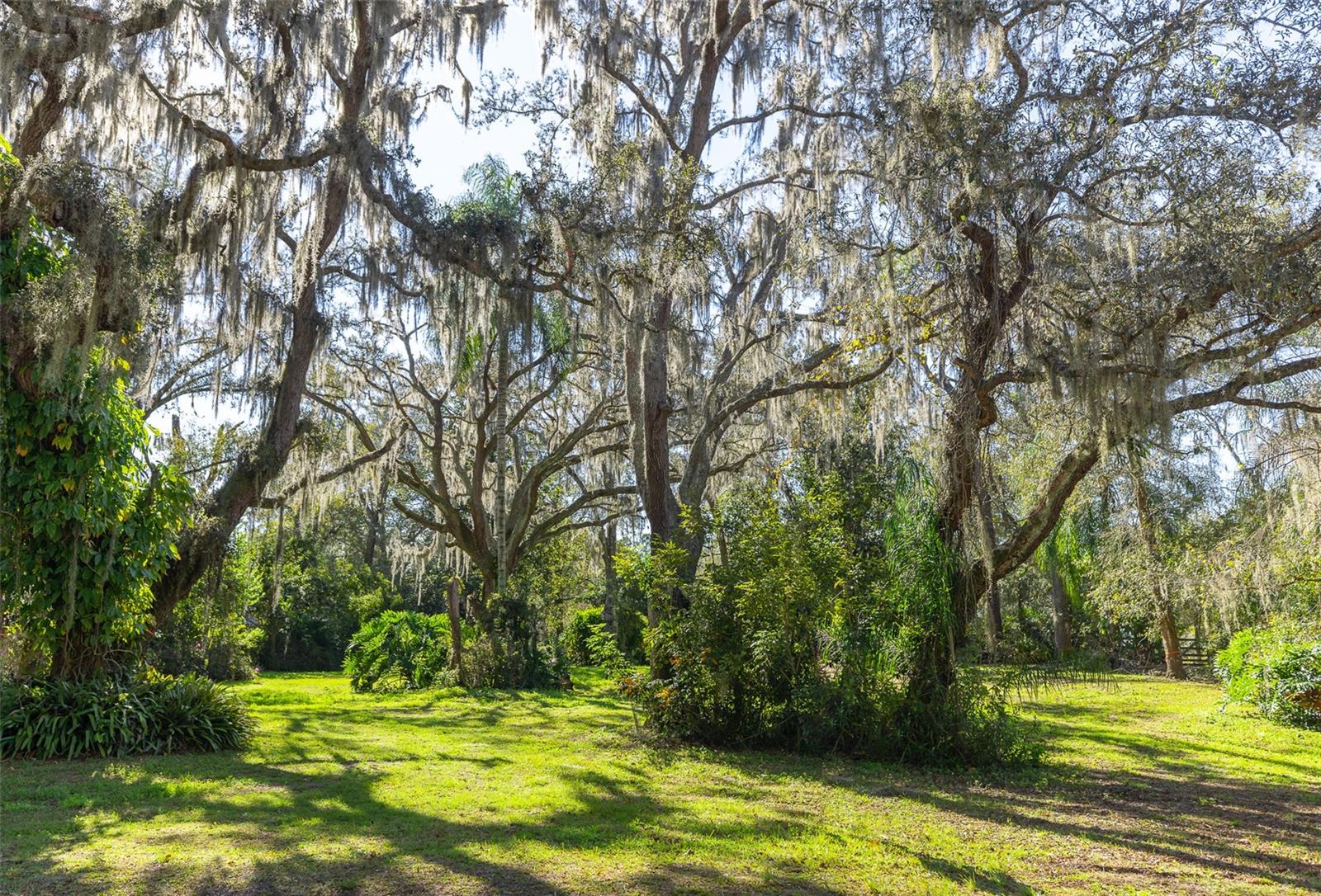 VANDERVORT ESTATES - Land