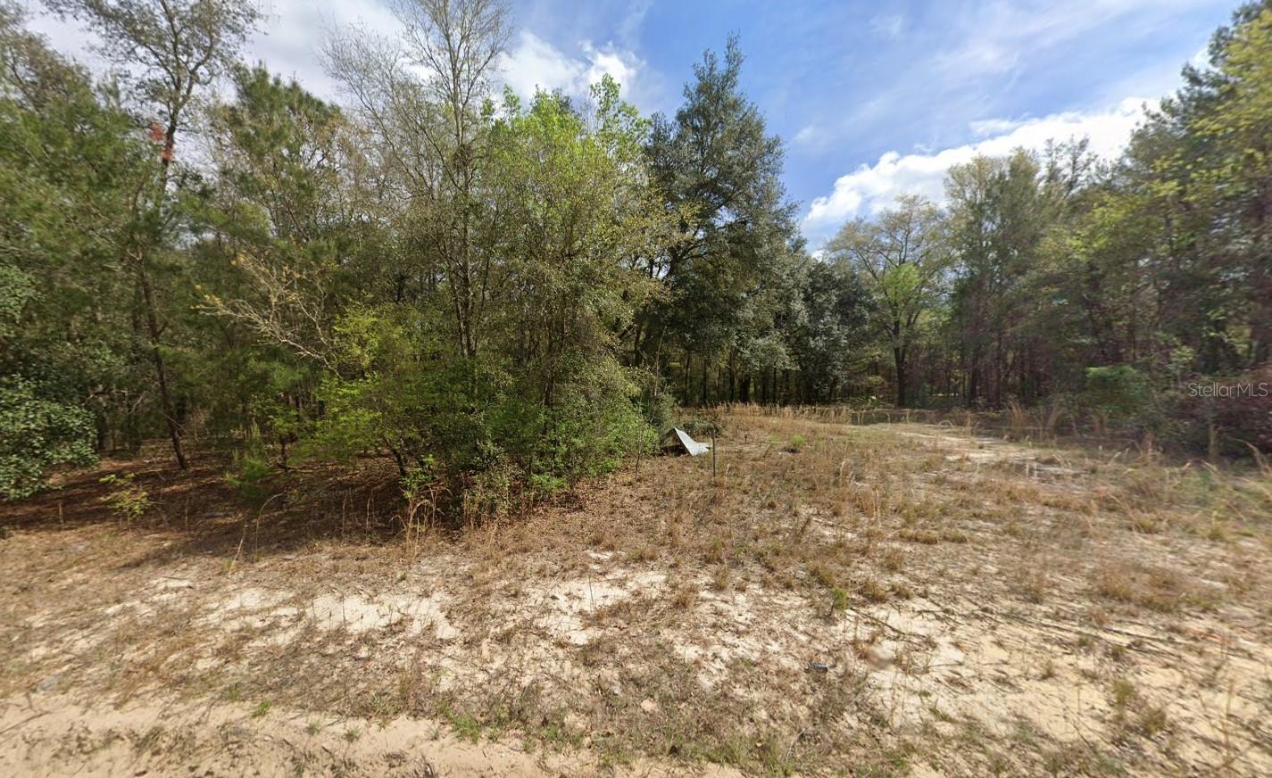 OWNER FINANCING CONSIDERED! Discover your opportunity to own a piece of beautiful Interlachen Lakes Estates! This vacant lot offers the perfect setting for your future home or investment property. Nestled in a quiet, wooded area surrounded by natural Florida beauty, this parcel provides privacy while still being close to local amenities, shopping, and schools. With numerous lakes nearby, outdoor enthusiasts can enjoy boating, fishing, and kayaking just minutes away. Whether you’re looking to build your dream home, place a mobile/manufactured home, or hold for the future, this affordable property is full of potential. Don’t miss your chance to own land in this growing community! For directional purposes please use 428 Gloria Ave
