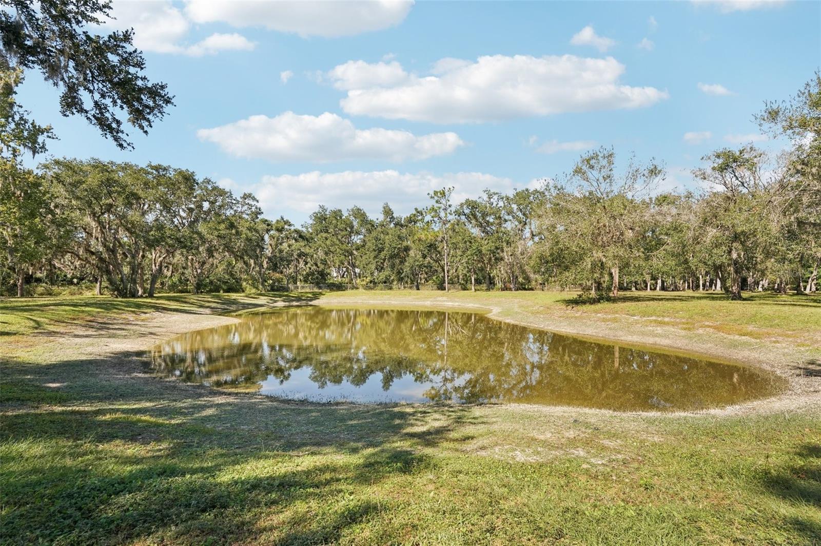 RANCHES AT MOSSY HAMMOCK - Residential