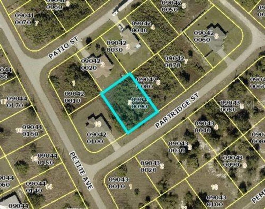 Photo of 307 Partridge Street, Lehigh Acres, FL 33974 (MLS # C7516182)