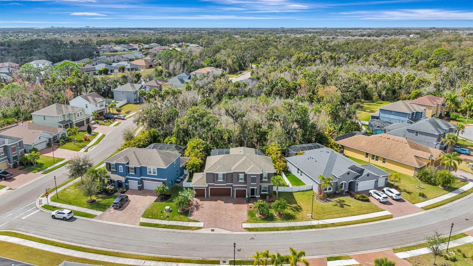 OAKLEAF HAMMOCK PH V - Residential