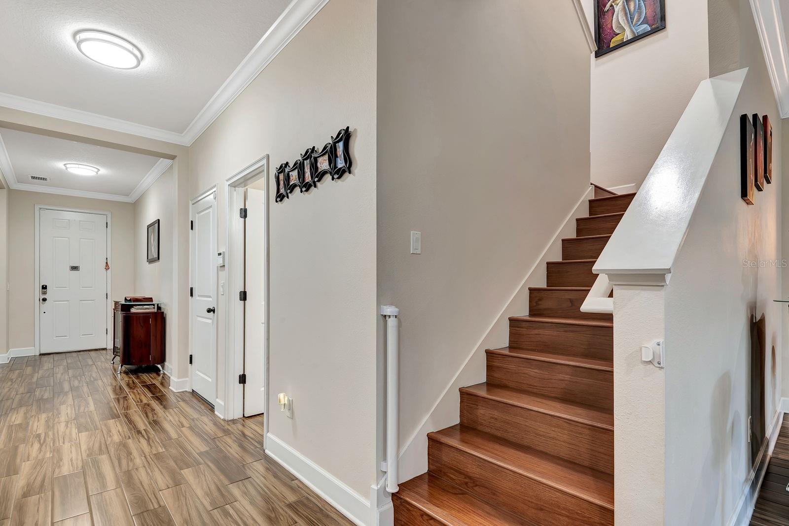 OAKLEAF HAMMOCK PH V - Residential