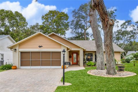 6413 WEDGEWOOD DRIVE SPRING HILL FL 34606