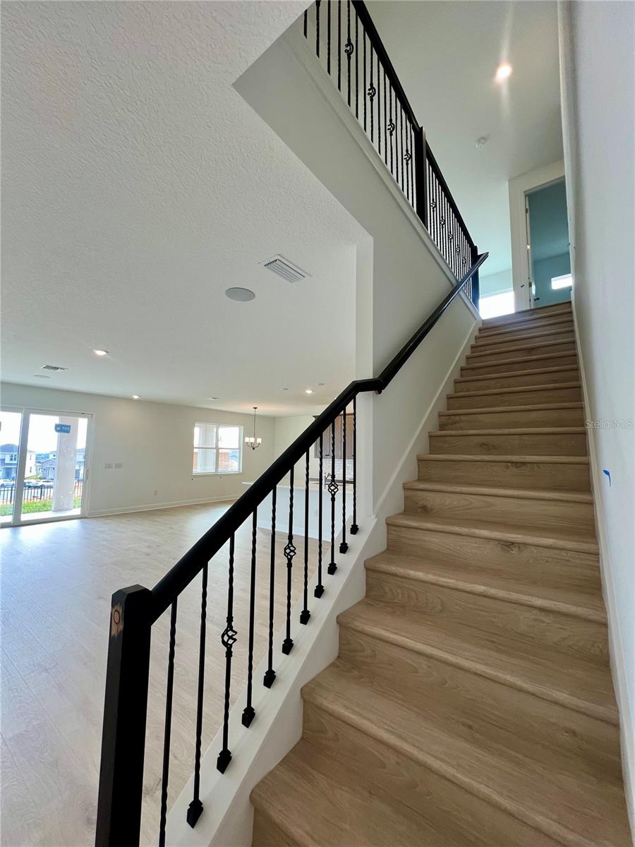 HILLS OF MINNEOLA - Residential