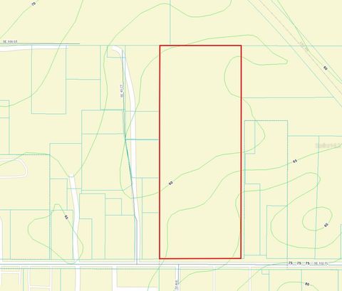 Tiny photo for 00 SE 102 Place, Belleview, FL 34420 (MLS # G5107050)