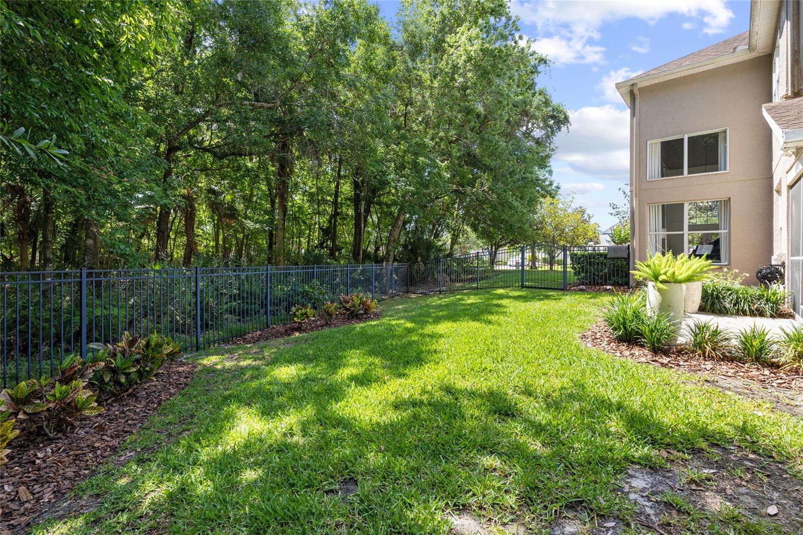 WESTCHASE - THE GREENS - Residential