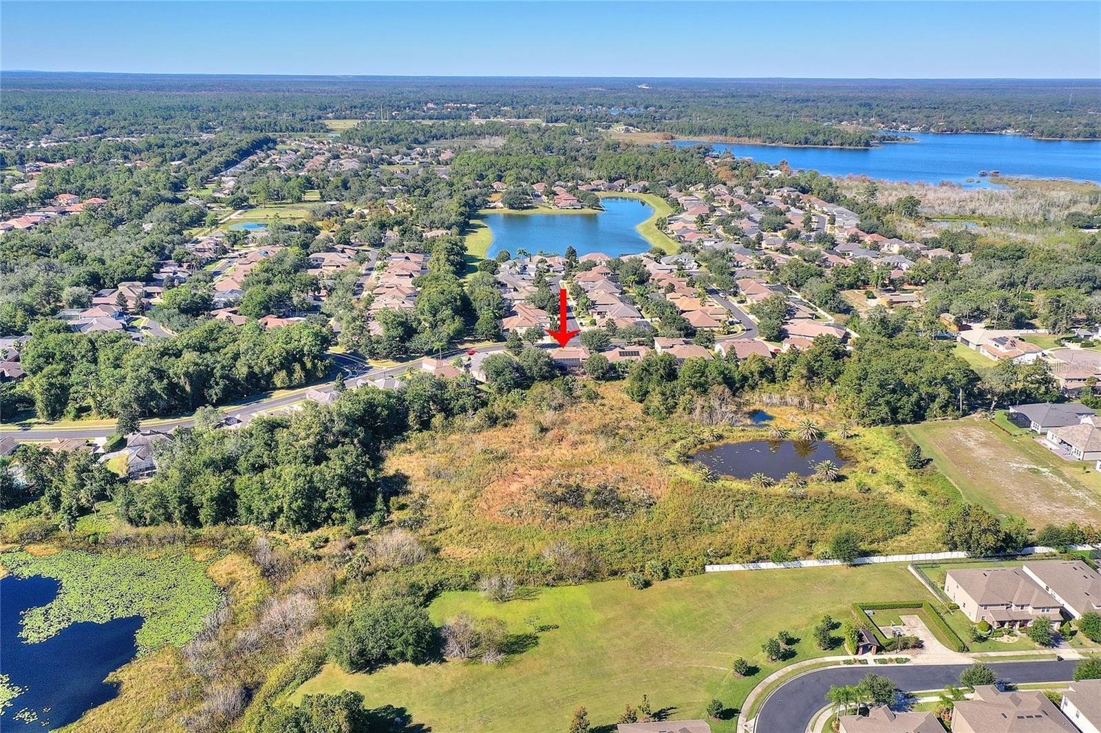 BUCKINGHAM ESTATES - Residential