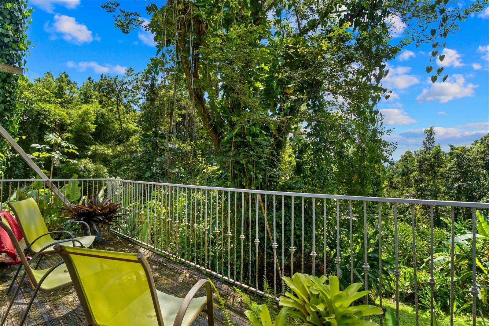 HOUSE OF THE FUTURE - Residential