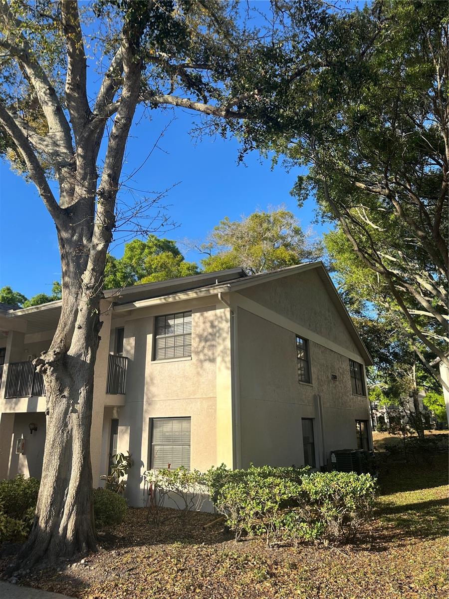 FOREST PARK CONDO - Residential