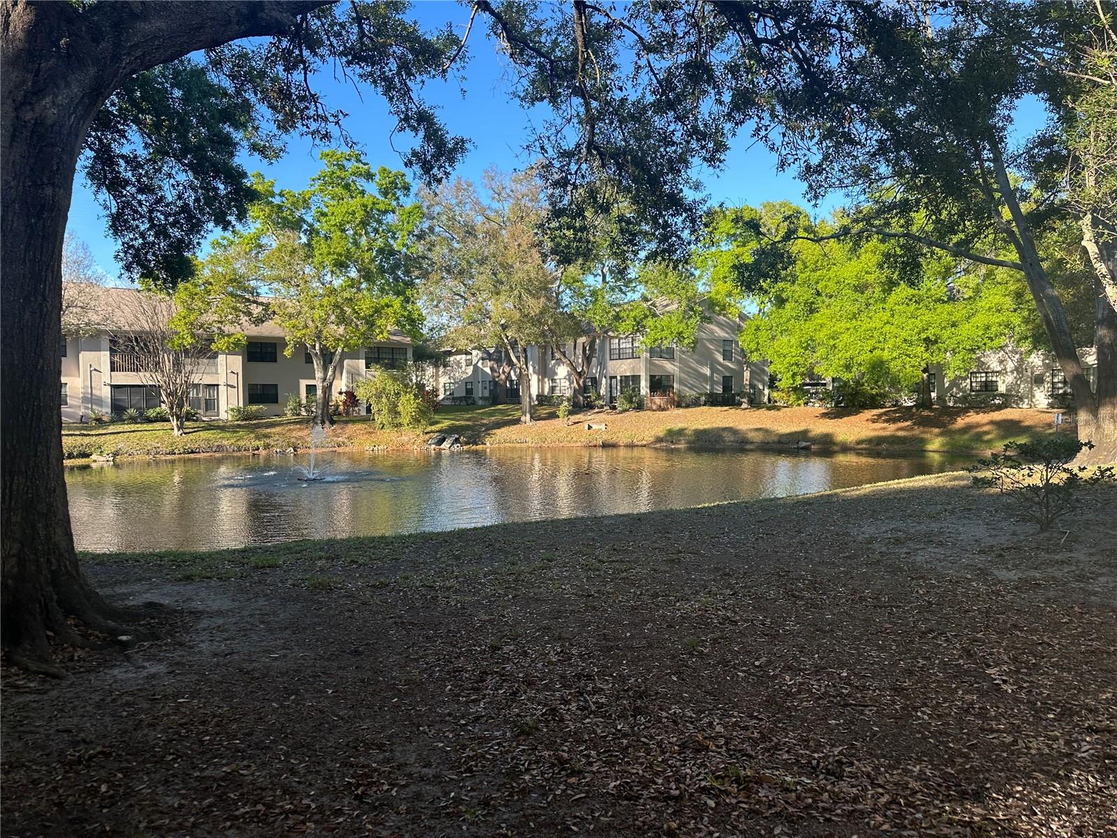 FOREST PARK CONDO - Residential