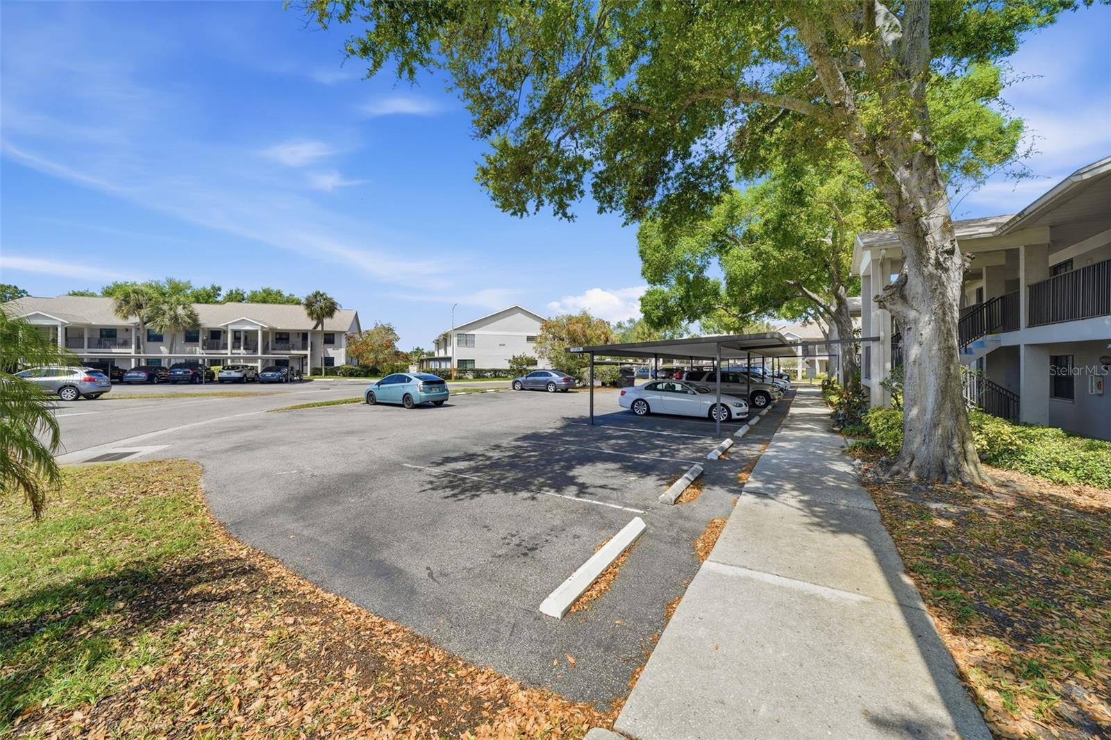 FOREST PARK CONDO - Residential