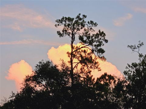 A home in GAINESVILLE