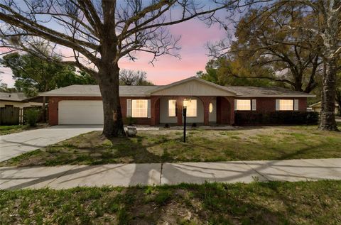 3817 TWILIGHT DRIVE VALRICO FL 33594