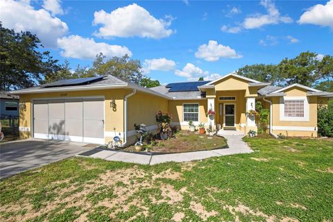Photo of 15157 Duck Hawk Road, Weeki Wachee, FL 34614 (MLS # W7885013)