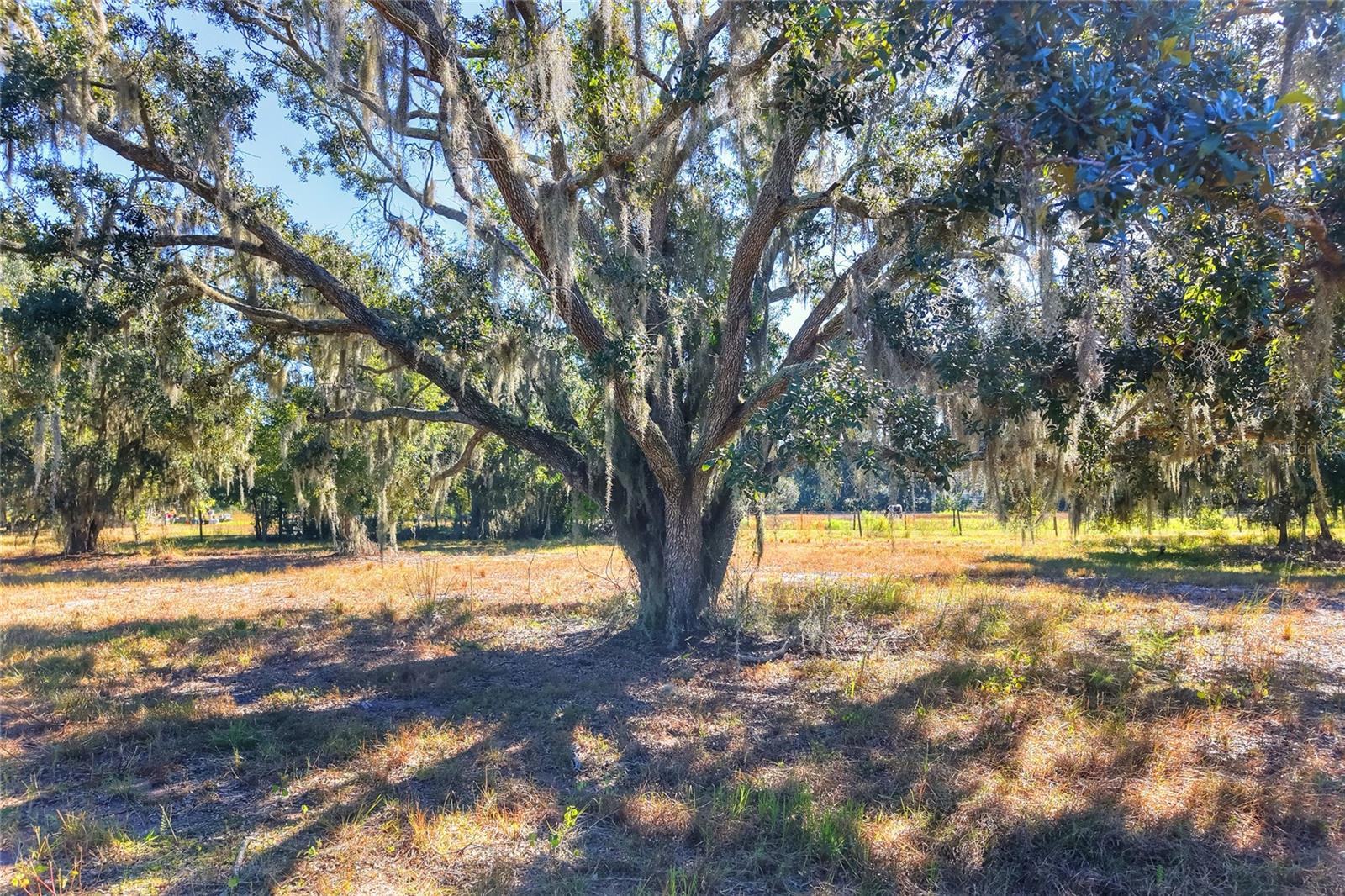 462 MOCCASIN HOLLOW ROAD
