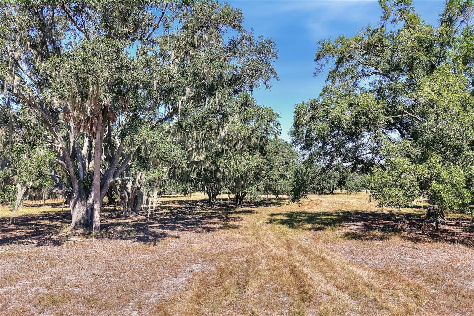 462 MOCCASIN HOLLOW ROAD