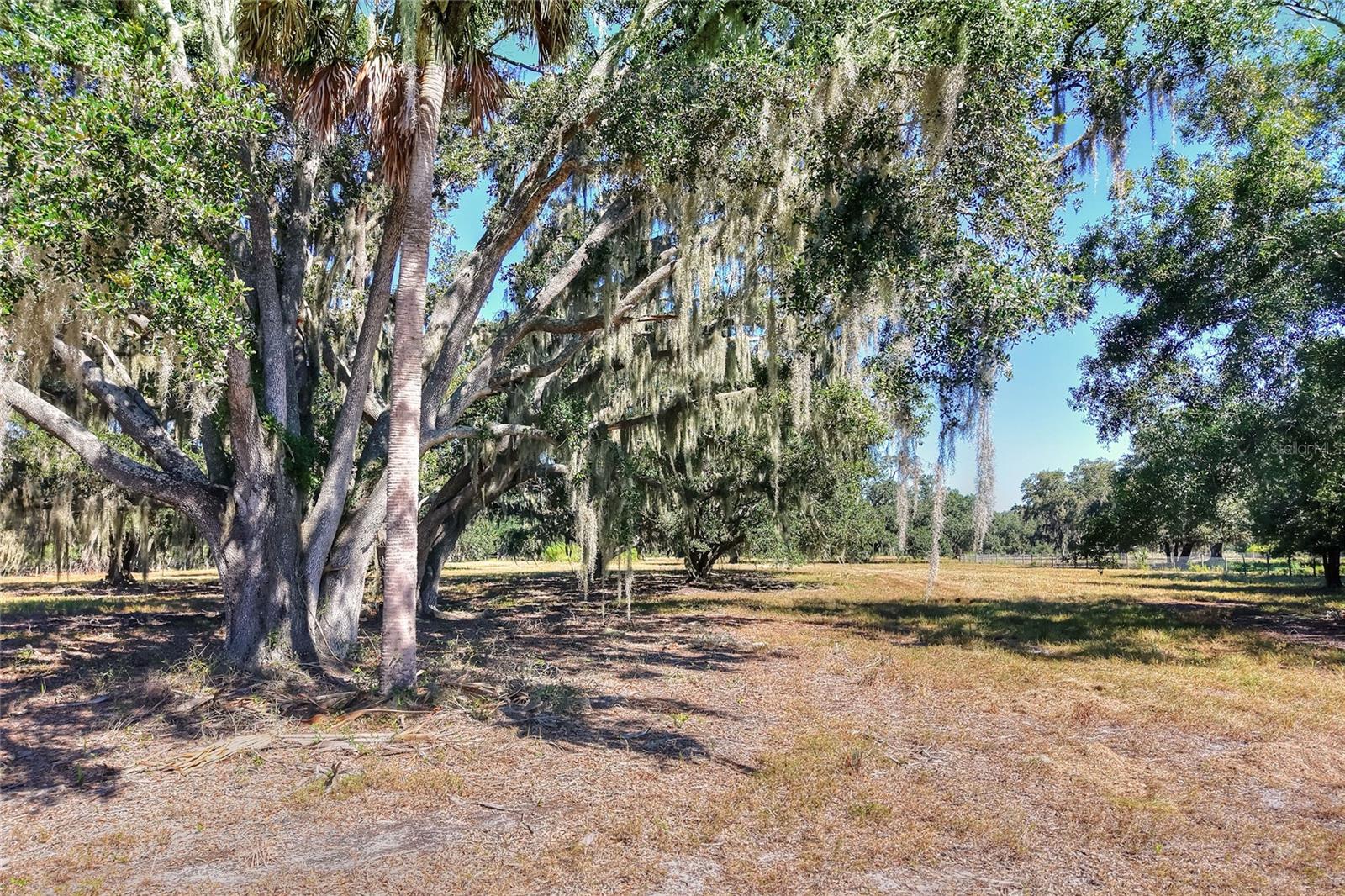 462 MOCCASIN HOLLOW ROAD