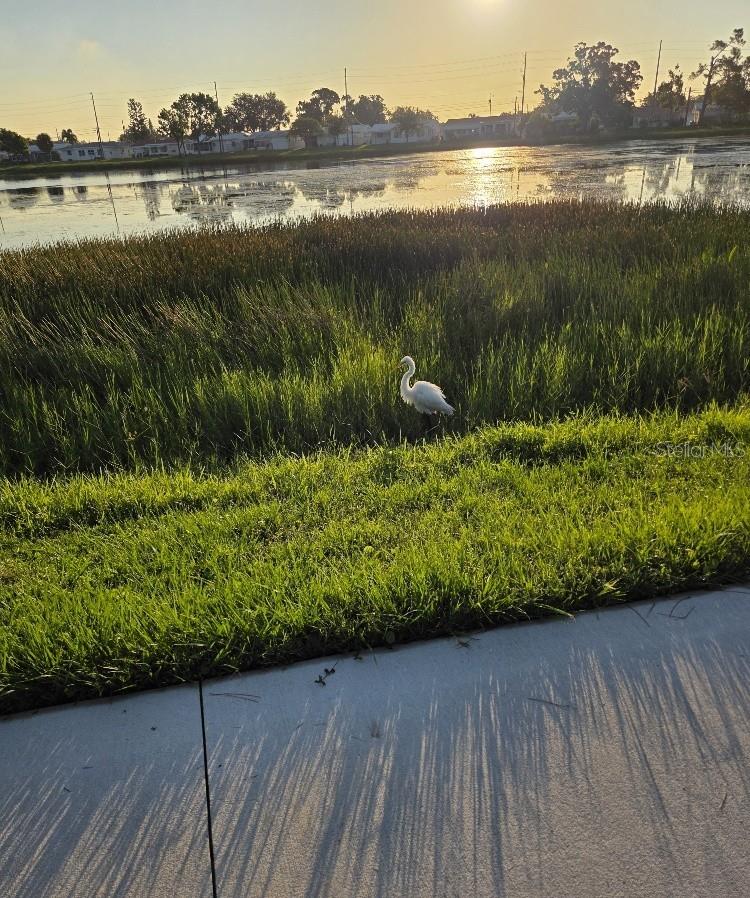 MAINLANDS OF TAMARAC BY THE GULF UNIT 1-B CONDO - Residential