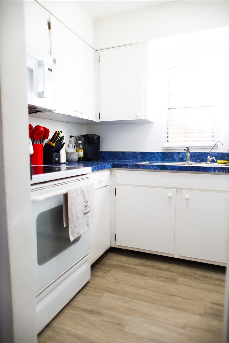 LAKE KATHRYN VILLAGE - Residential