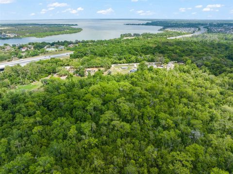 Tiny photo for 16838 Old Highway 50, Winter Garden, FL 34787 (MLS # O6406199)