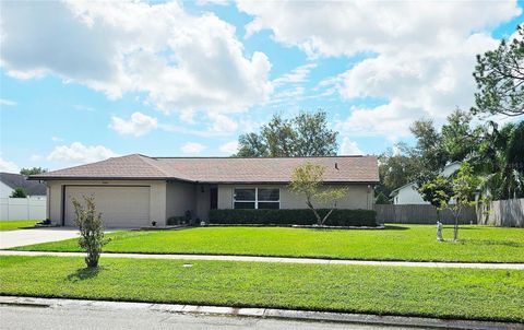 A home in ORLANDO