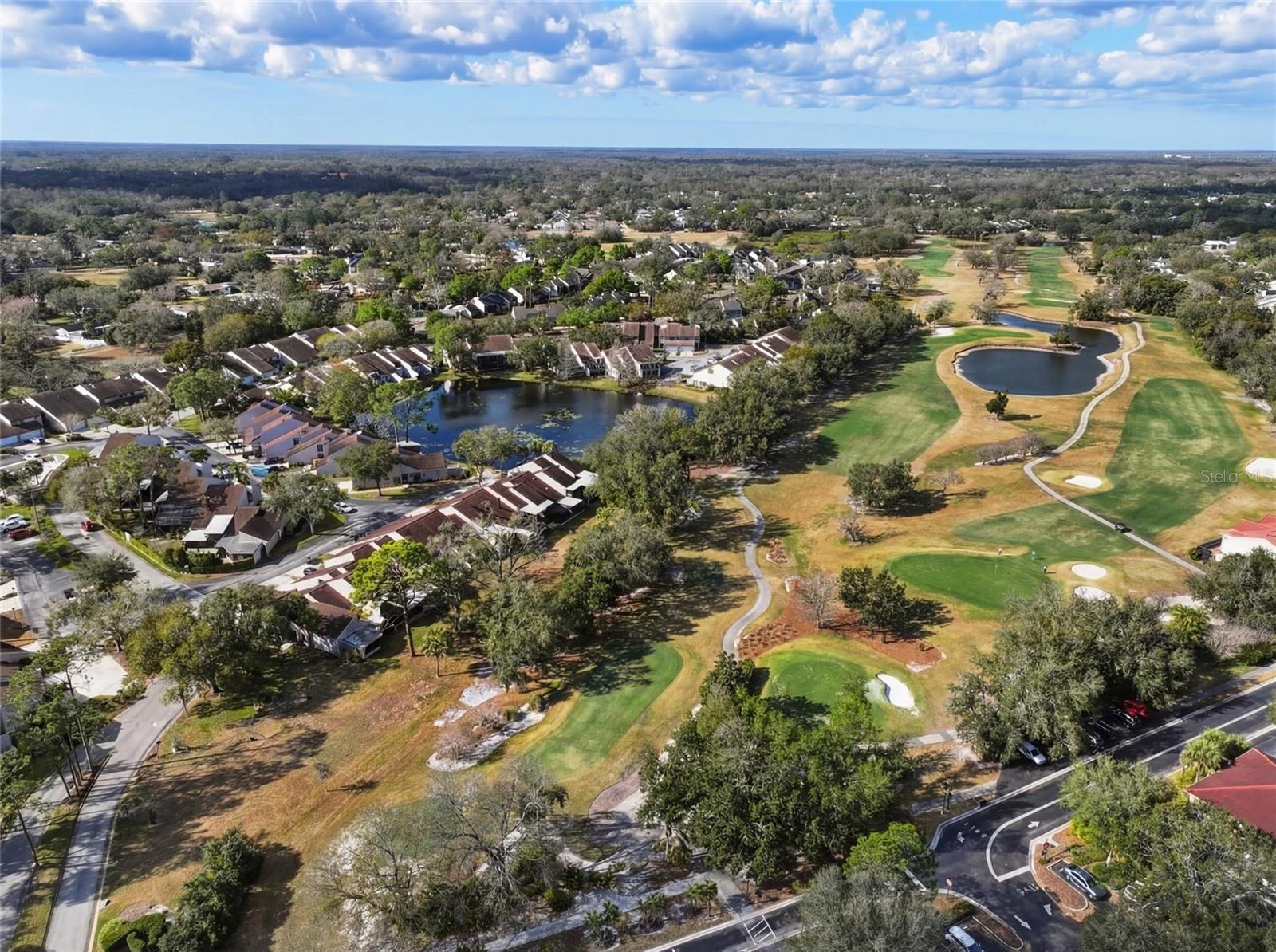 FAIRWAY LAKES TWNHMS VILLAG - Residential