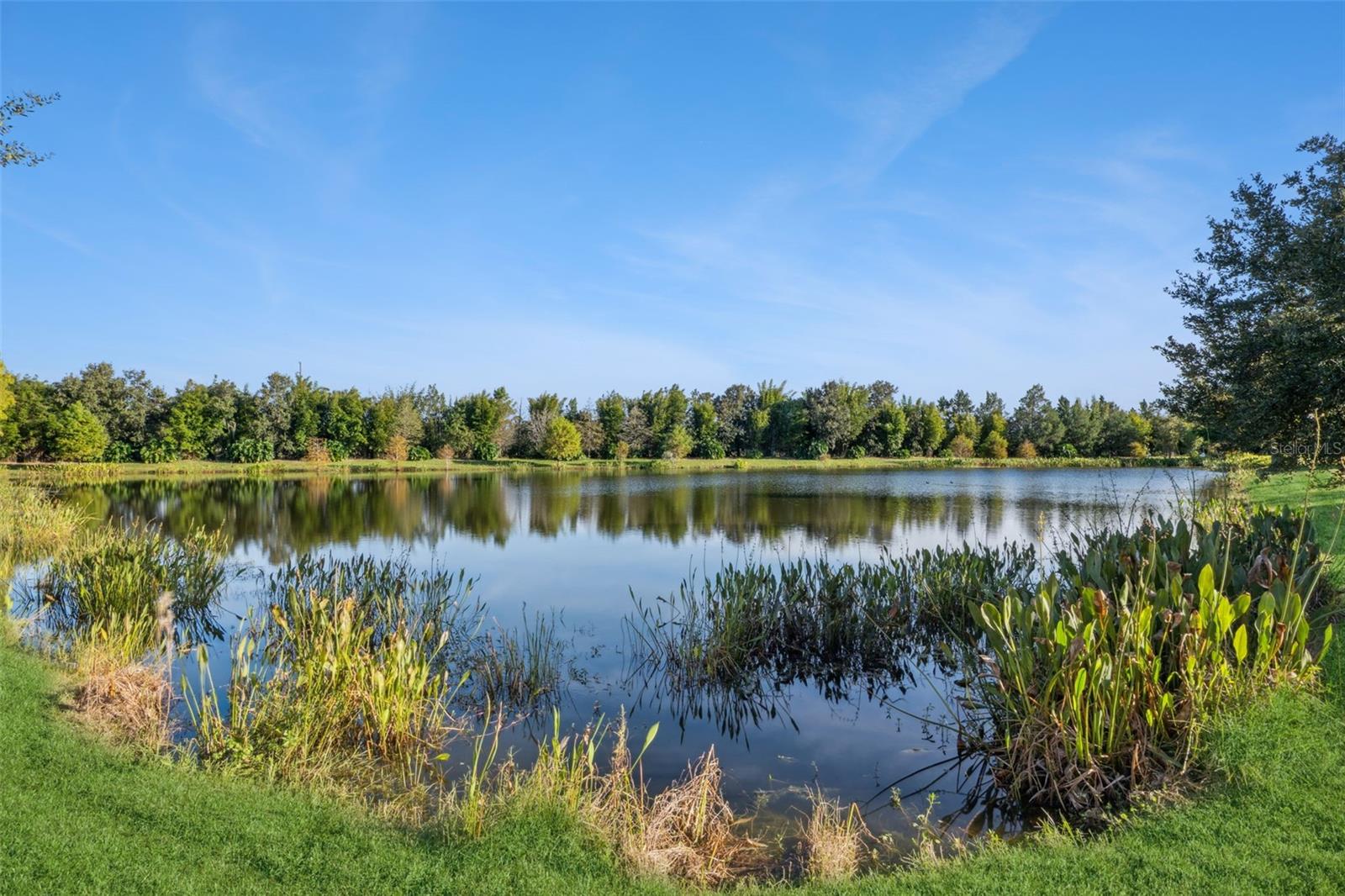 VICTORIA PARK INCREMENT 5 NORTHEAST - Residential