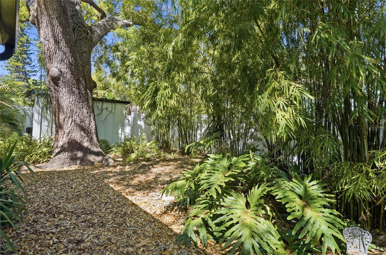 VETERAN CITY - Residential