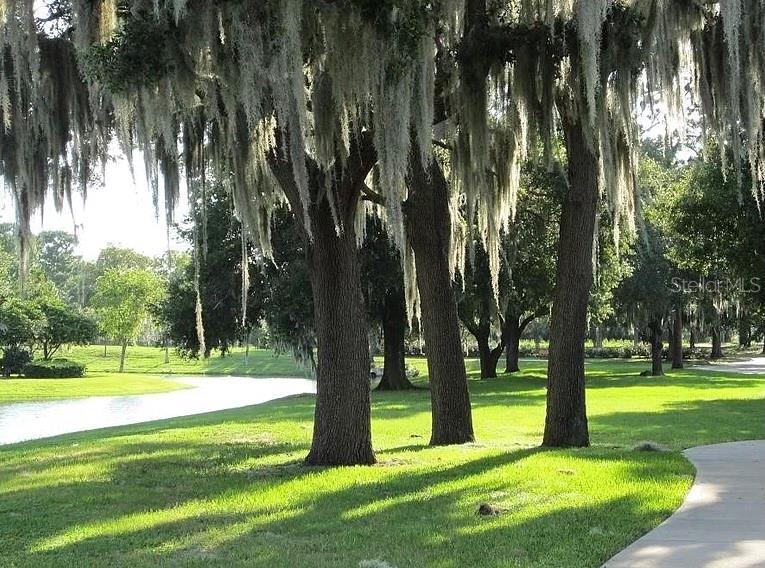 PINEHURST VILLAGE 1ST ADD - Residential