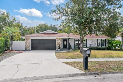 A home in ORLANDO