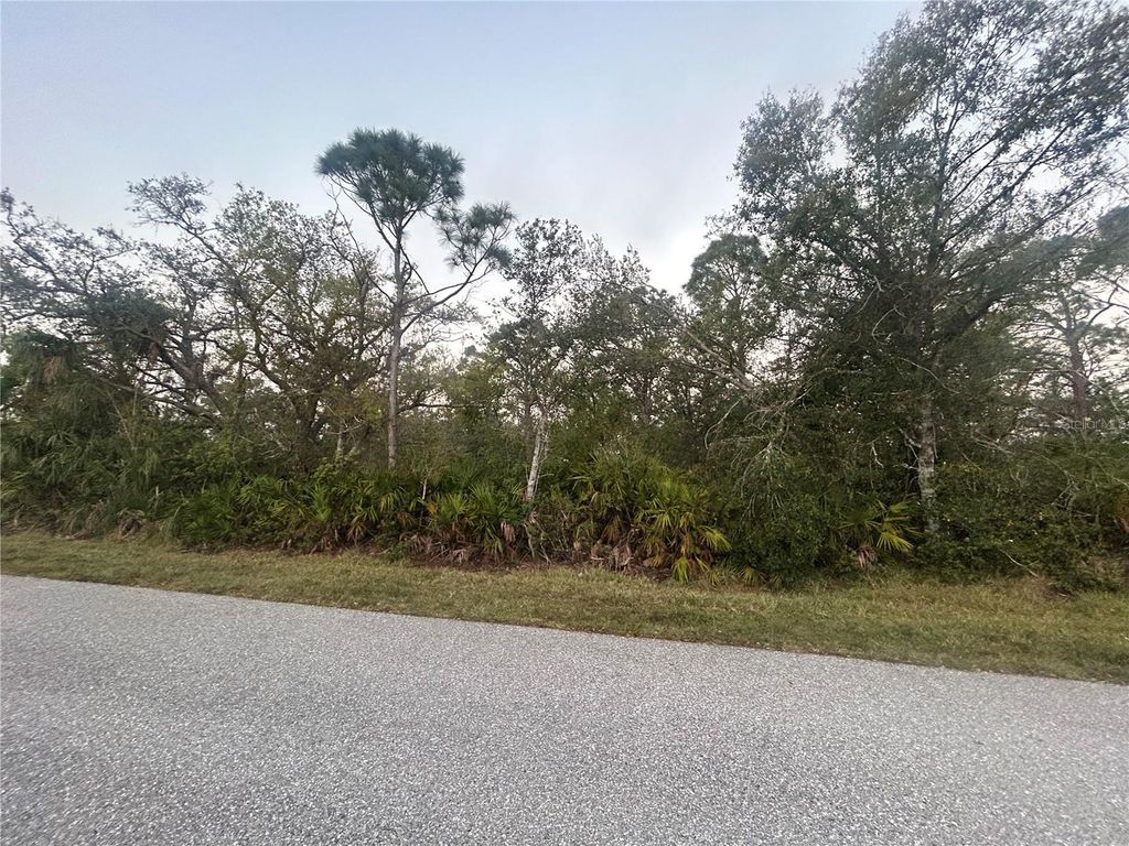 Photo of 6261 Blackberry Street, Englewood, FL 34224 (MLS # C7506564)