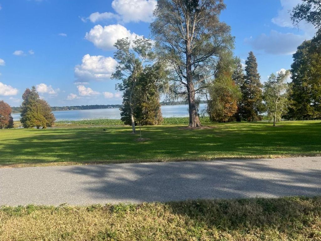 Photo of 217 E Belmar Street, Lakeland, FL 33803 (MLS # L4957416)