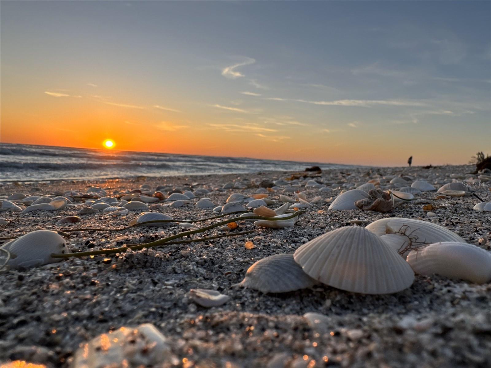 BEACHWALK BY MANASOTA KEY PH - Residential