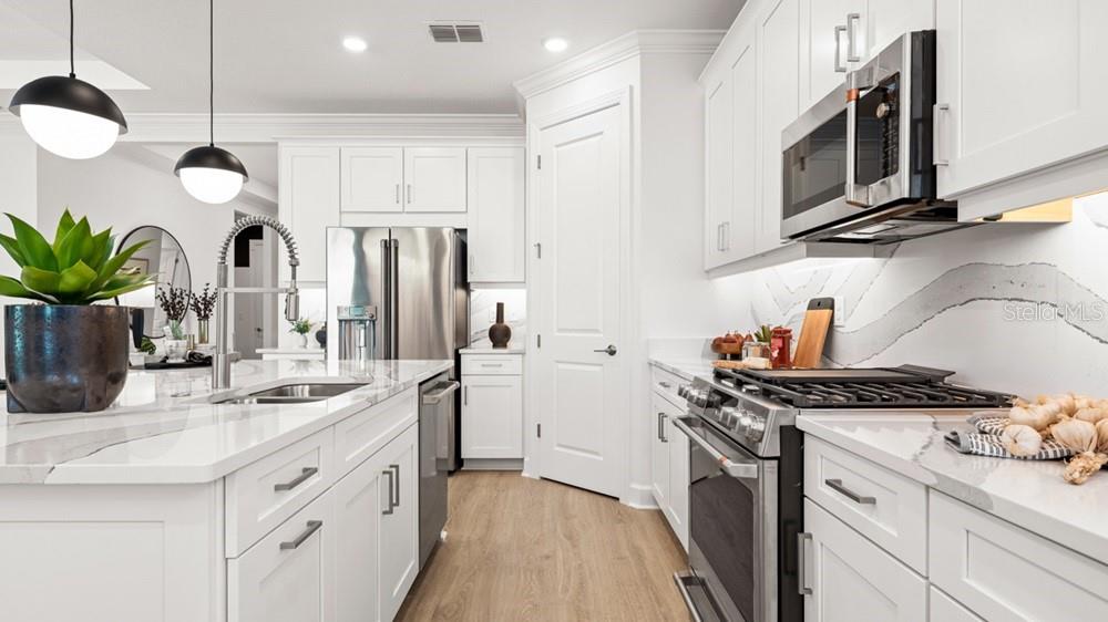 ESPLANADE AT SKYE RANCH - Residential