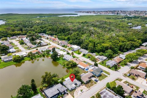 A home in NEW PORT RICHEY