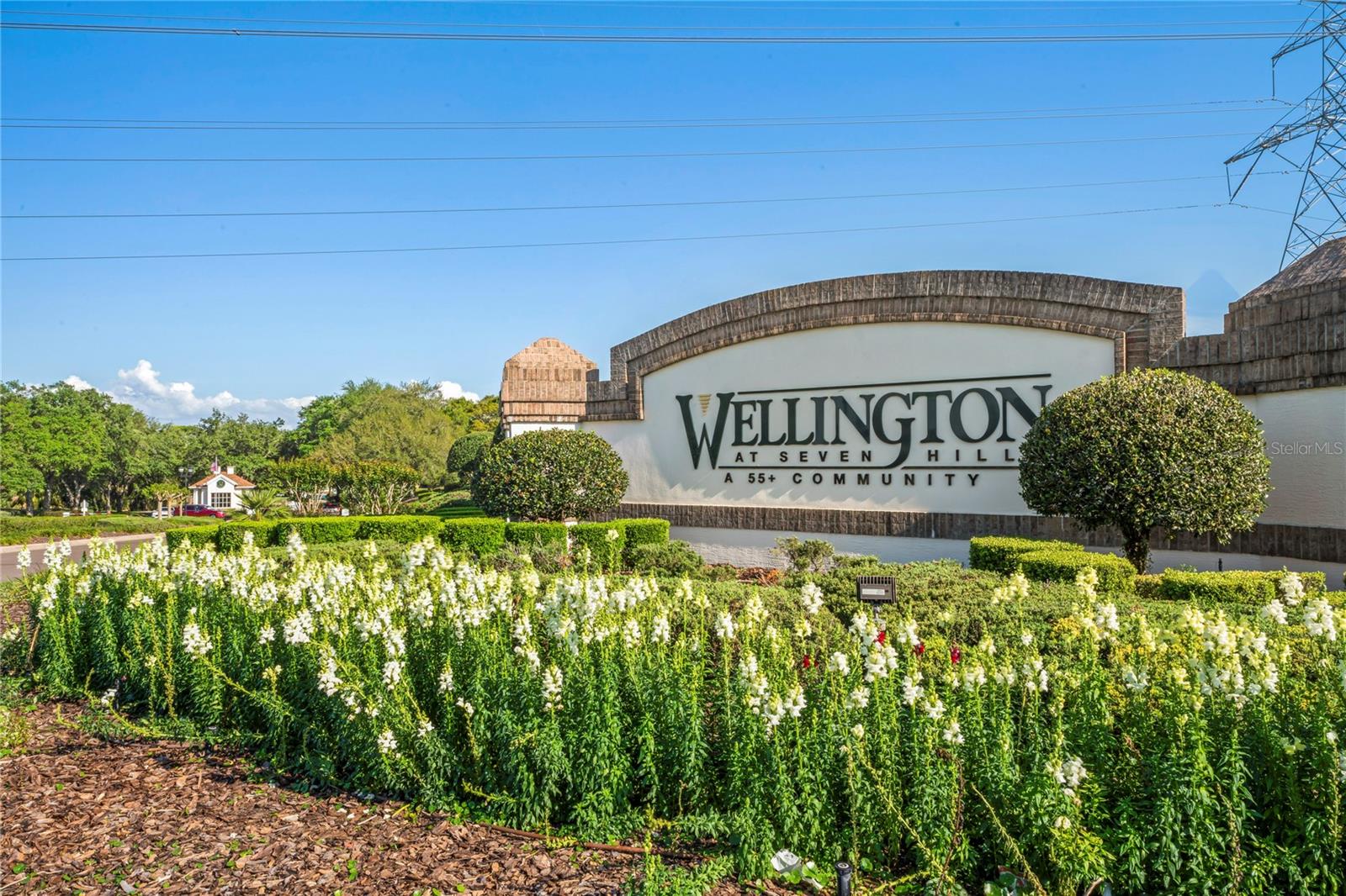 WELLINGTON AT SEVEN HILLS PH 1 - Residential