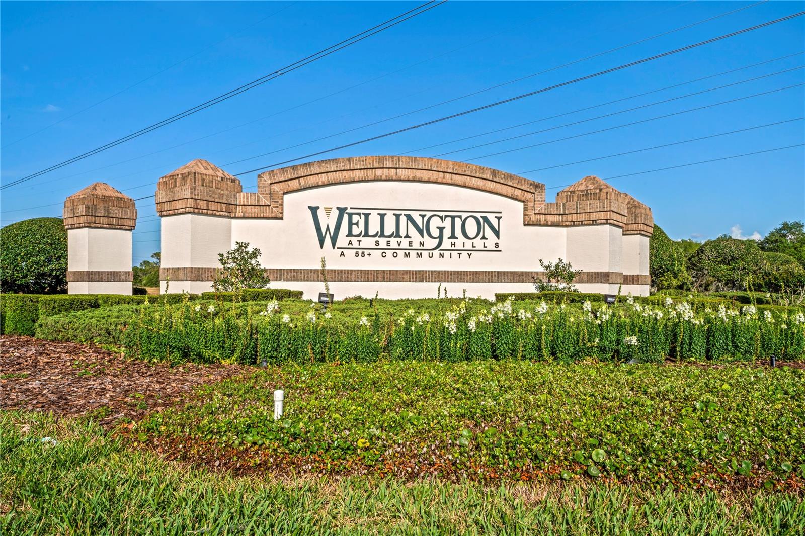 WELLINGTON AT SEVEN HILLS PH 1 - Residential