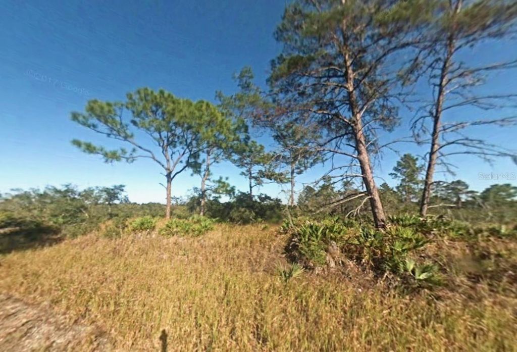 Photo of 1255 Lorca Street, Lake Placid, FL 33852 (MLS # C7520535)