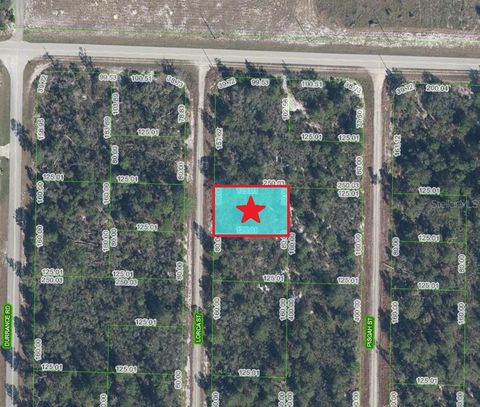 1255 LORCA STREET LAKE PLACID FL 33852
