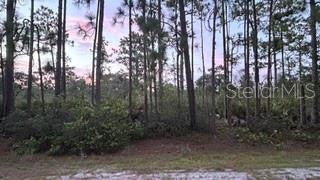 Photo of 116 Camellia Drive, Indian Lake Estates, FL 33855 (MLS # TB8537685)