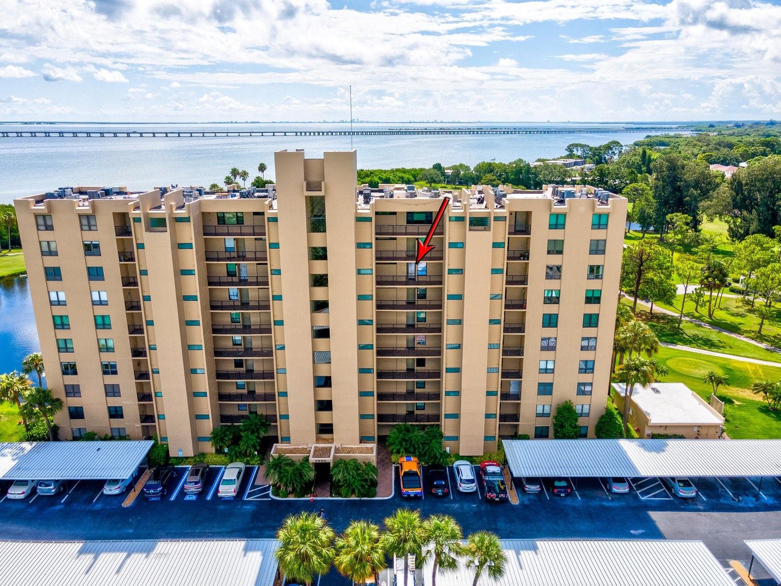 View CLEARWATER, FL 33760 condo