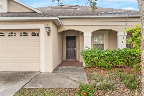 A home in LAND O LAKES