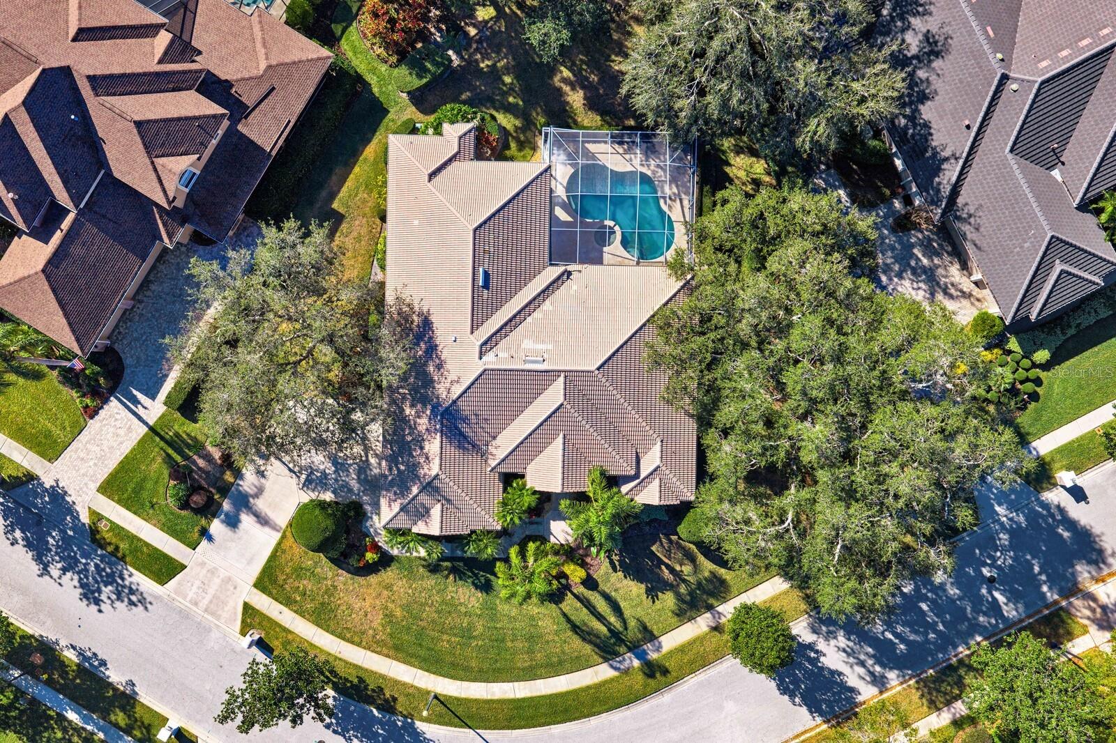 TAMPA PALMS - Residential