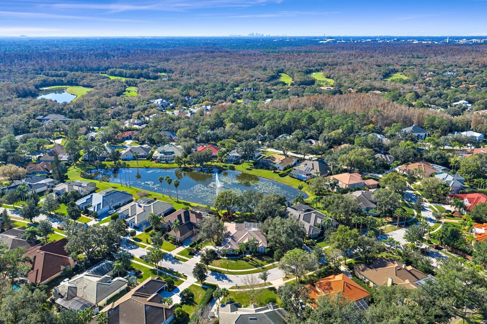 TAMPA PALMS - Residential