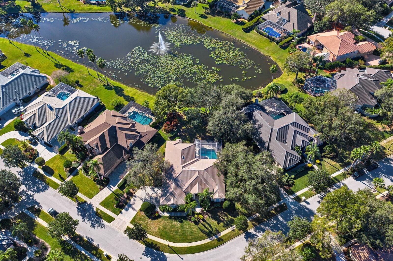 TAMPA PALMS - Residential